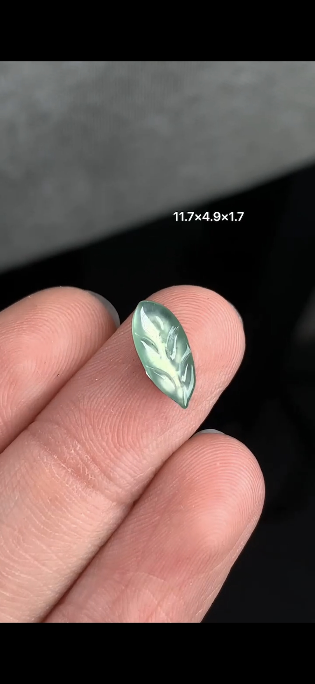 Charm lá cao băng nền xanh