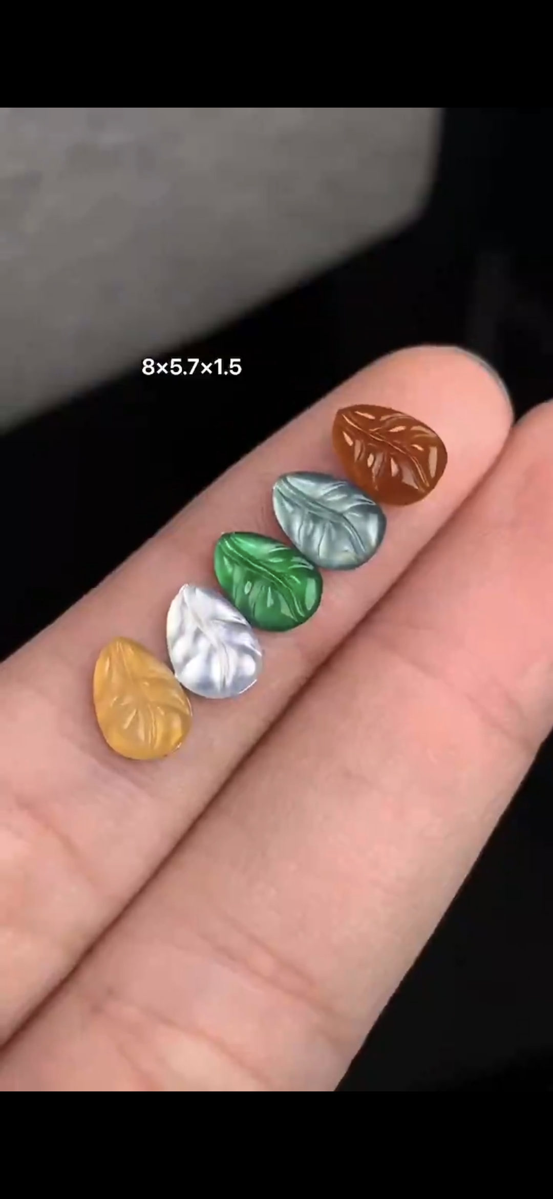 Bộ lá ngũ sắc
