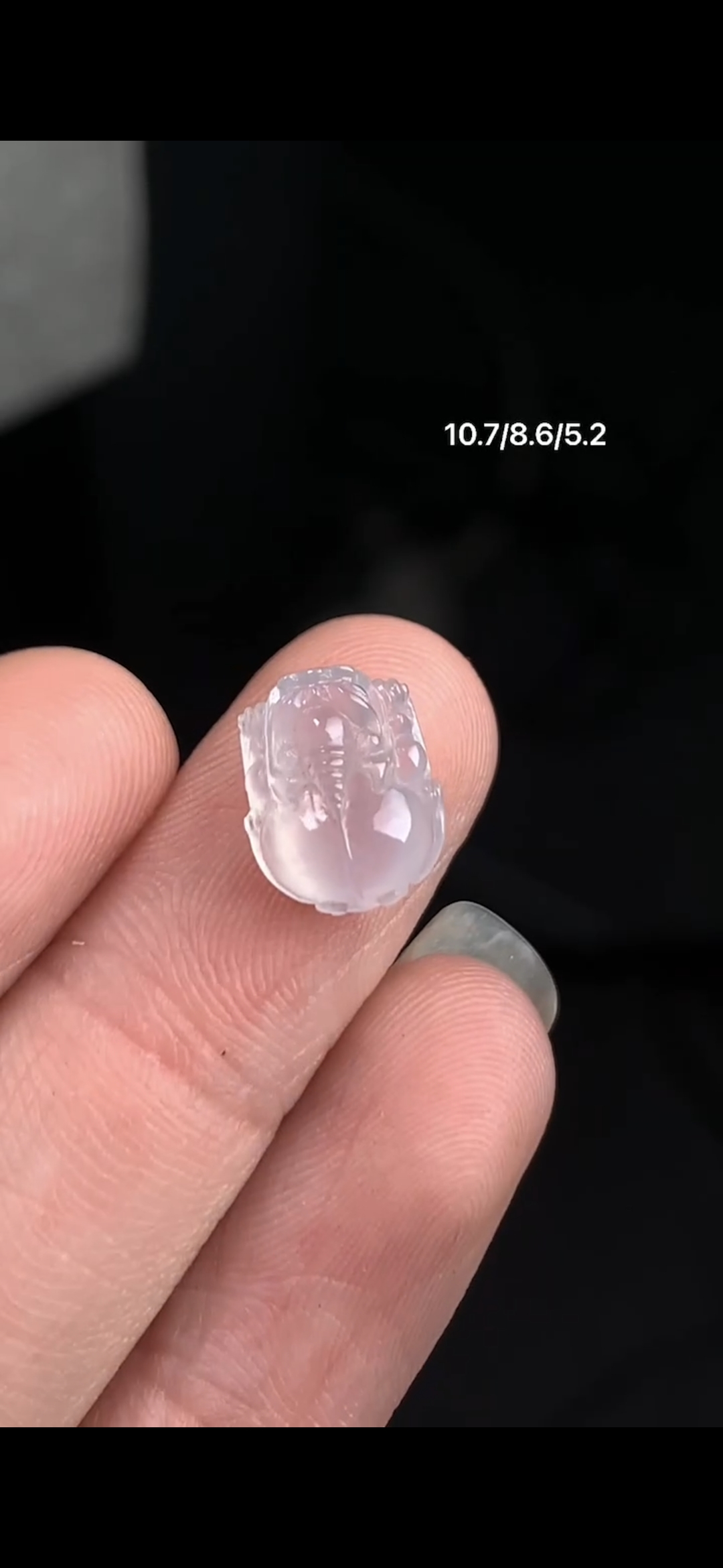 Tì hưu cao băng trắng xl129