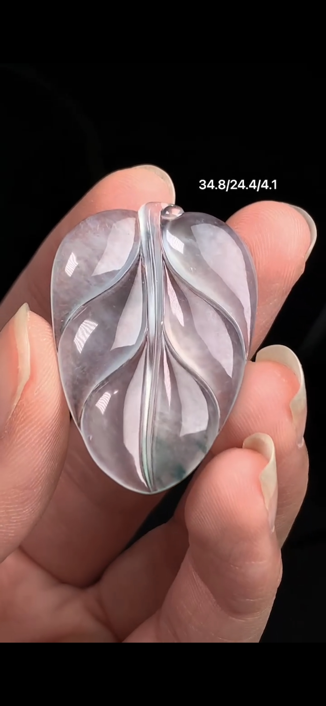 Lá cao băng hoa bay v173